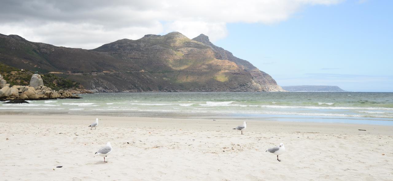 Dk Villas 1 Harbour View Hout Bay Bagian luar foto
